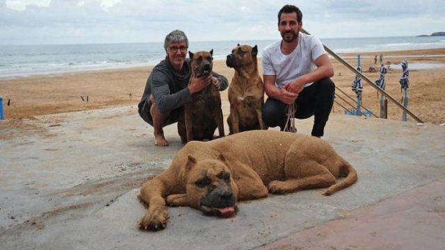 Sand Sculptures By Andoni Bastarrika (38 pics)