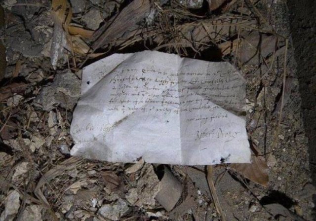 Interesting Findings (30 pics)
