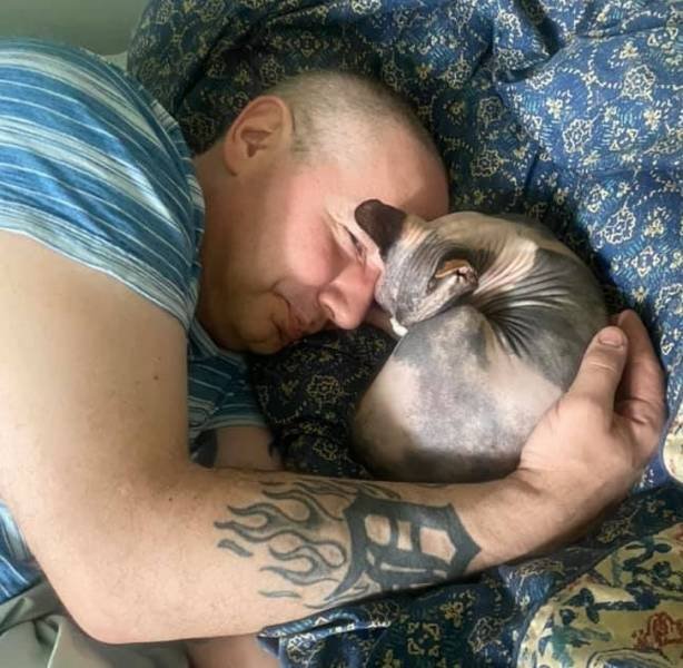 These Men Refused To Have Pets (18 pics)