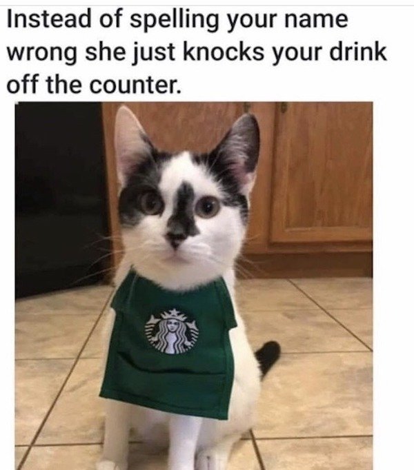 Hilarious Memes (34 pics)