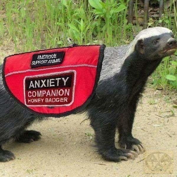 Hilarious Memes (34 pics)