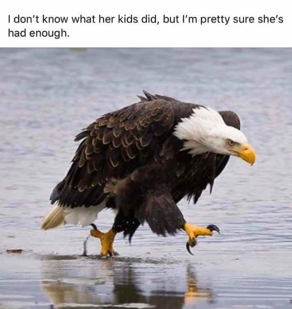 Hilarious Memes (34 pics)
