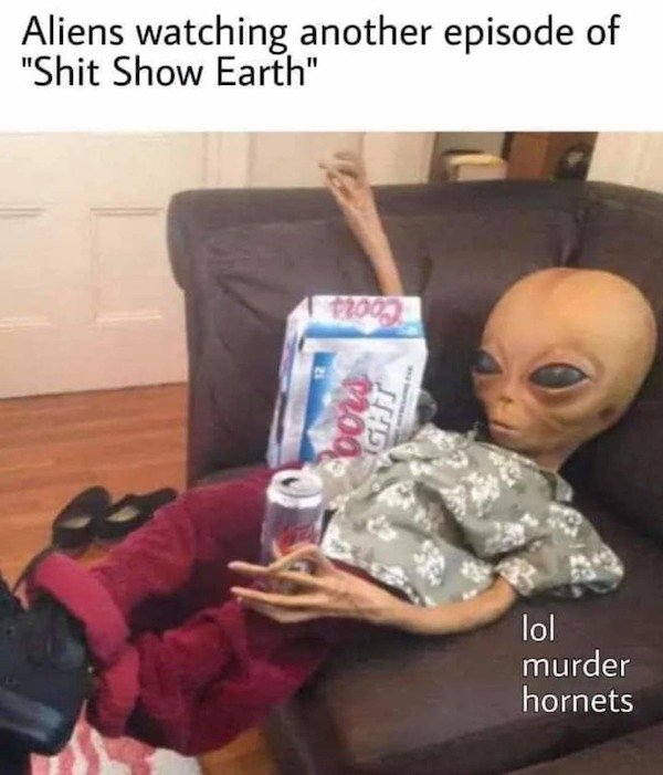 Hilarious Memes (34 pics)