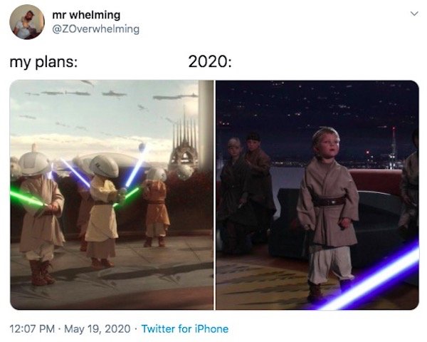 My Plans Vs. 2020 Memes (32 pics)