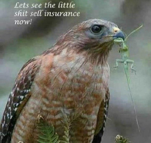 Hilarious Memes (34 pics)