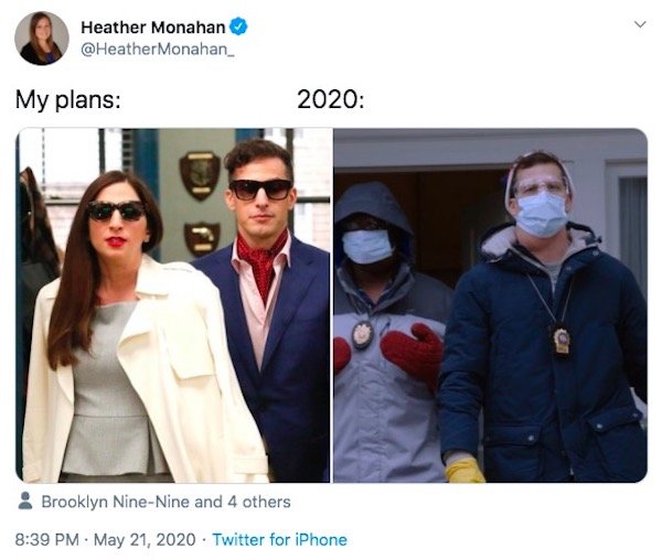 My Plans Vs. 2020 Memes (32 pics)