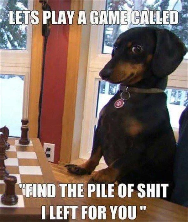 Hilarious Memes (34 pics)
