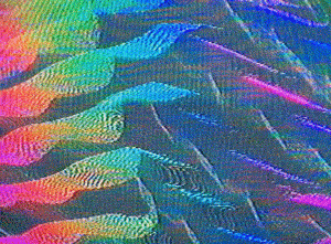 Surreal GIFs (18 gifs)