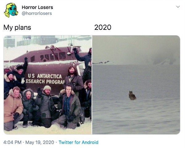 My Plans Vs. 2020 Memes (32 pics)