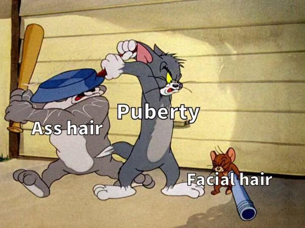 Random Funny Memes (29 pics)