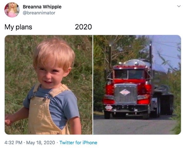 My Plans Vs. 2020 Memes (32 pics)