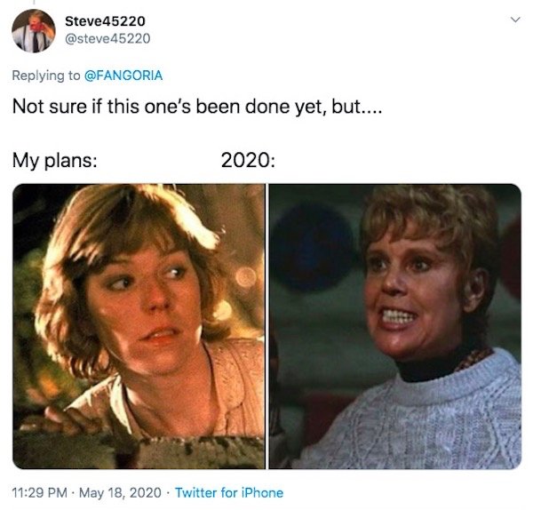 My Plans Vs. 2020 Memes (32 pics)