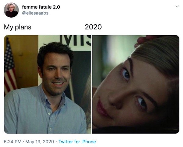 My Plans Vs. 2020 Memes (32 pics)