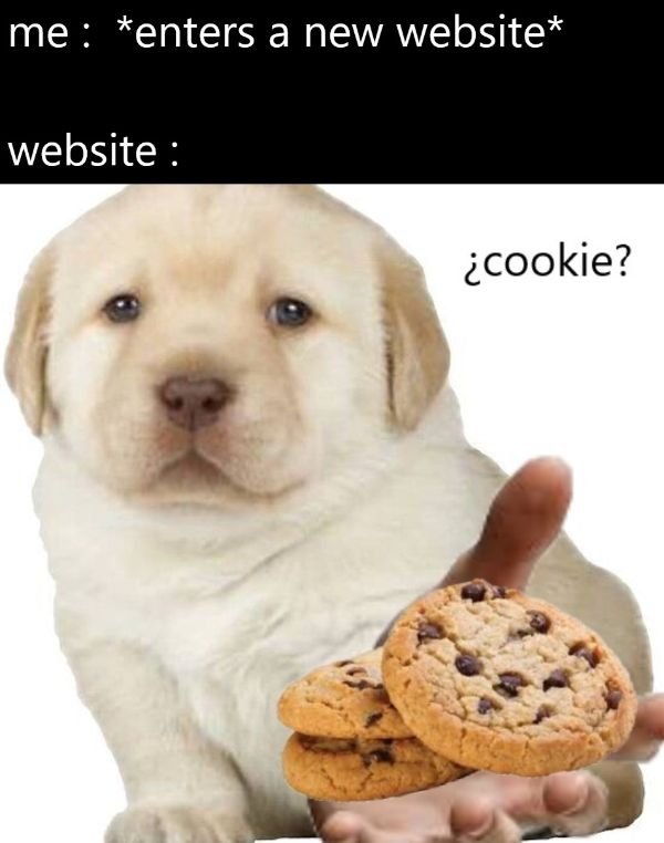 Random Funny Memes (29 pics)