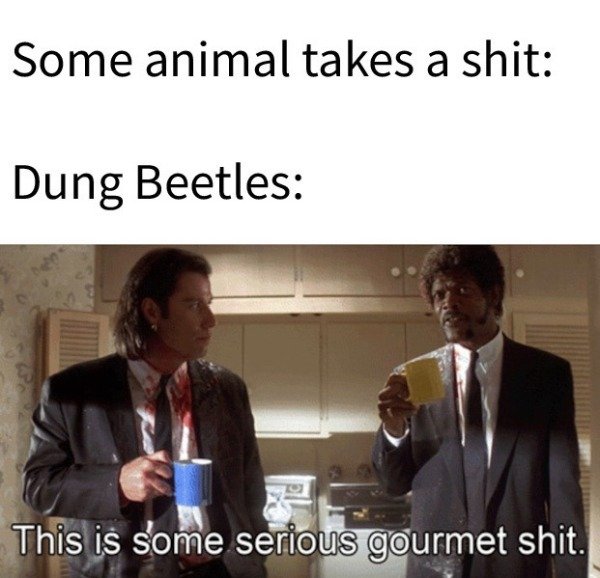 Hilarious Memes (34 pics)