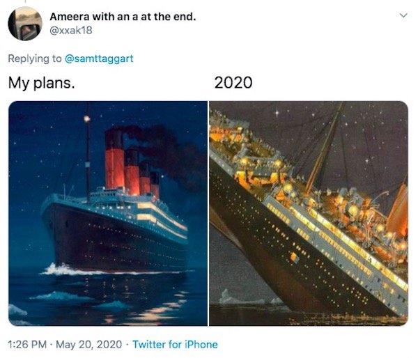 My Plans Vs. 2020 Memes (32 pics)