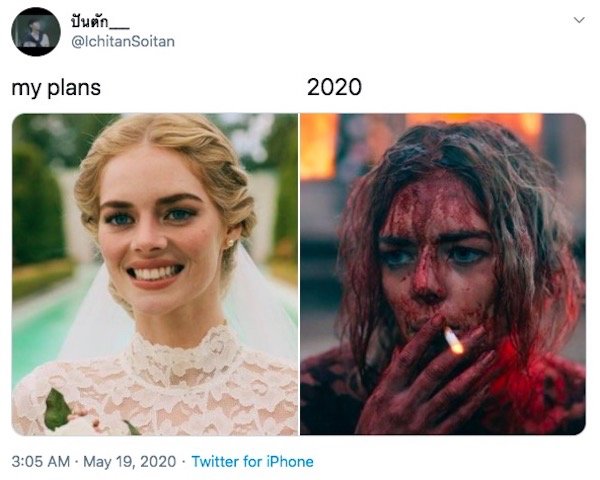 My Plans Vs. 2020 Memes (32 pics)