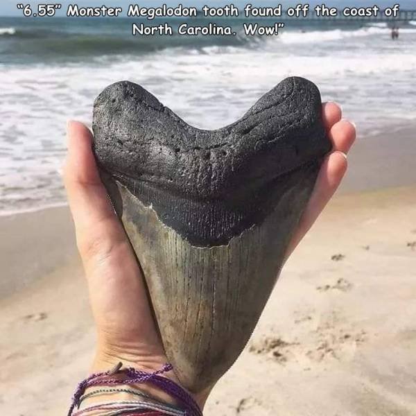 Acid Picdump. Part 1 (112 pics)