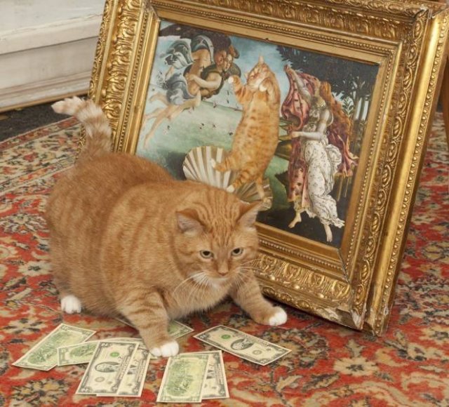 Acid Picdump. Part 1 (112 pics)