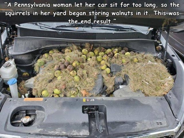 Acid Picdump. Part 1 (112 pics)