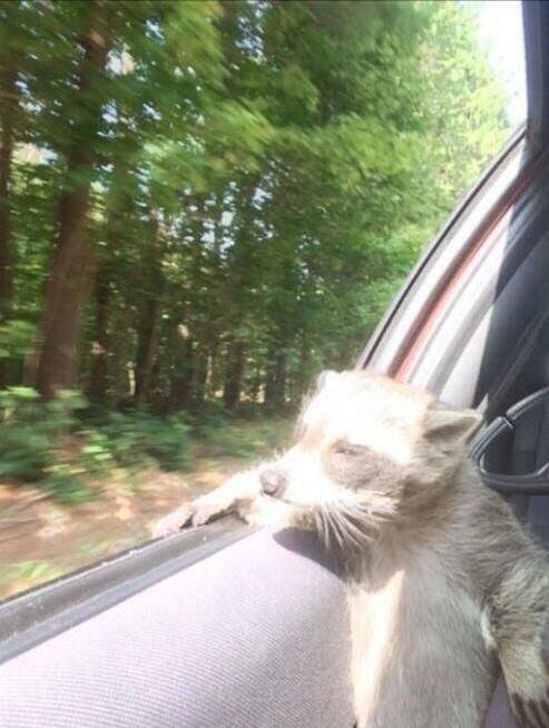 Acid Picdump. Part 1 (112 pics)