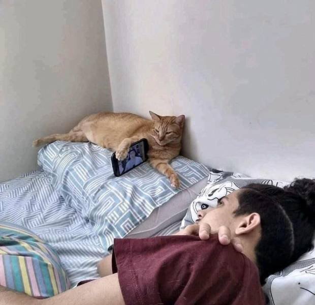 Acid Picdump. Part 1 (112 pics)
