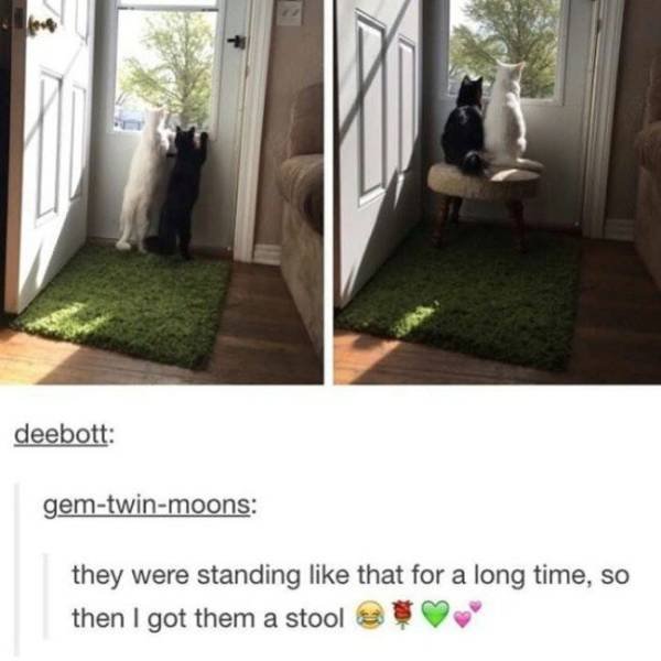 Acid Picdump. Part 1 (112 pics)