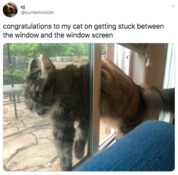 Funny Tweets (44 pics)