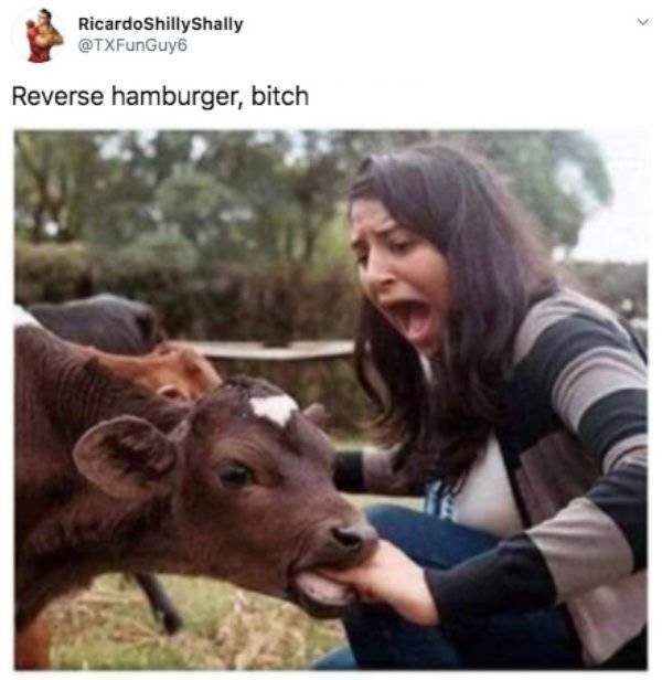 Funny Tweets (44 pics)