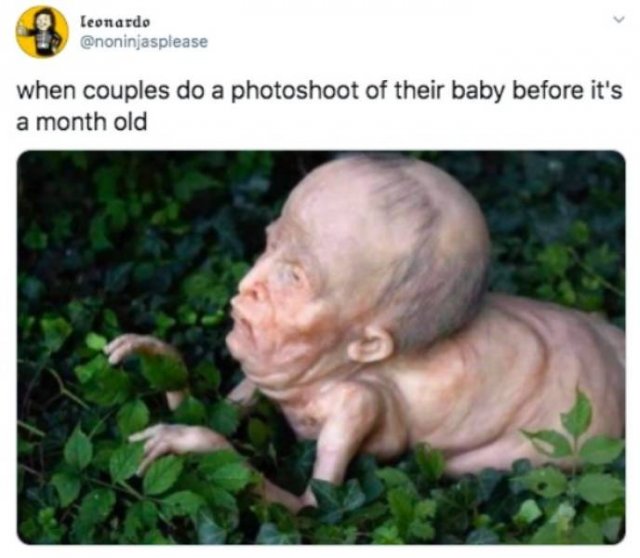 Funny Tweets (44 pics)