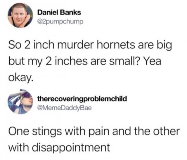 Funny Tweets (44 pics)