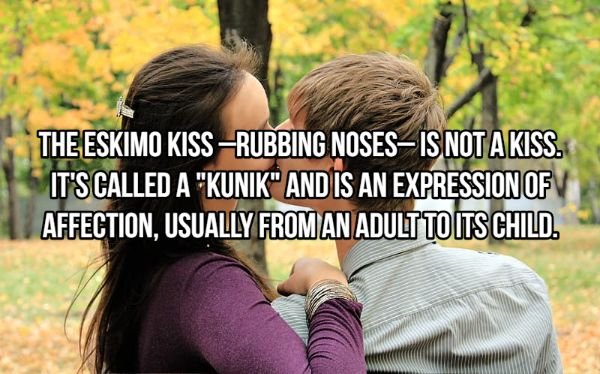 Kiss Art Facts (20 pics)