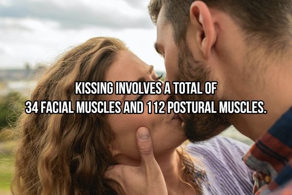 Kiss Art Facts (20 pics)