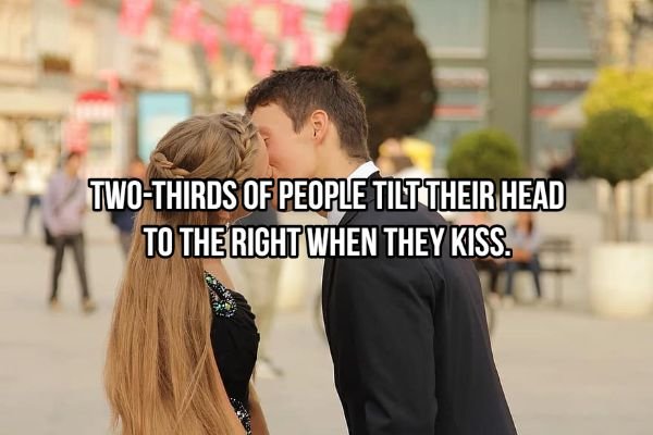 Kiss Art Facts (20 pics)