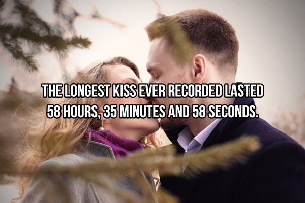 Kiss Art Facts (20 pics)