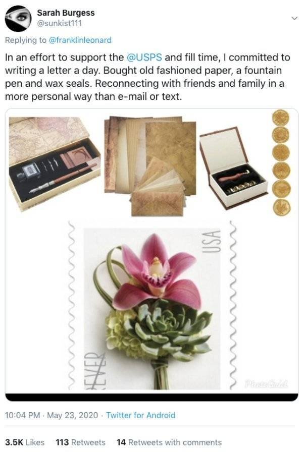 People Share Their Quarantine Purchases (27 pics)