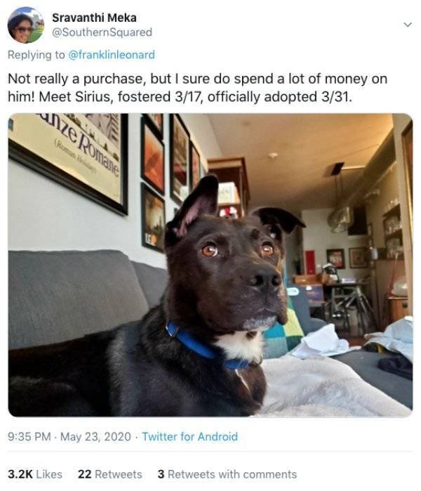 People Share Their Quarantine Purchases (27 pics)