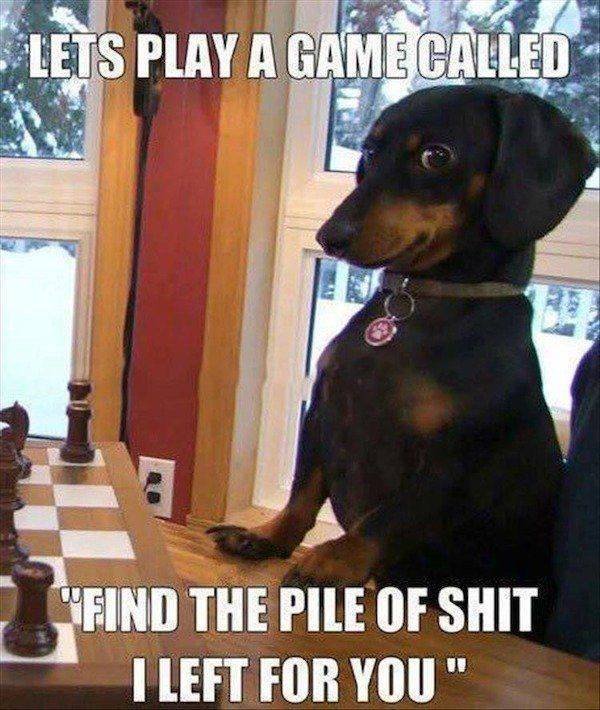 Bad Days Happen (52 pics)