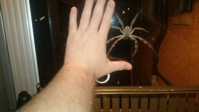 Acid Picdump. Part 1 (96 pics)