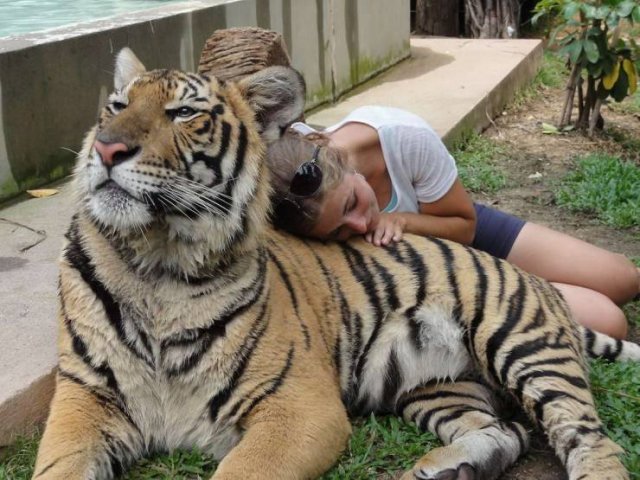 Acid Picdump. Part 1 (96 pics)