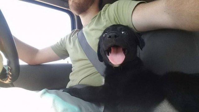 Acid Picdump. Part 1 (96 pics)
