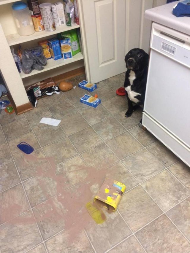 Acid Picdump. Part 1 (96 pics)