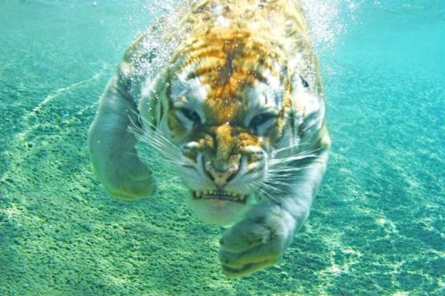 Acid Picdump. Part 1 (96 pics)