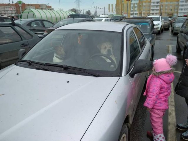Acid Picdump. Part 1 (96 pics)