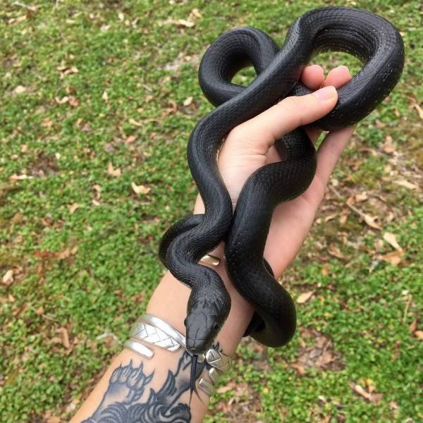 Acid Picdump. Part 1 (96 pics)
