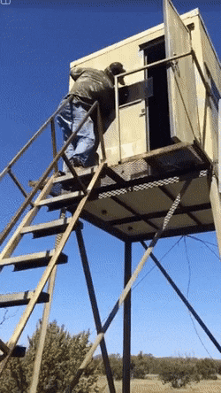 Acid Gifdump, May 26 (25 gifs)