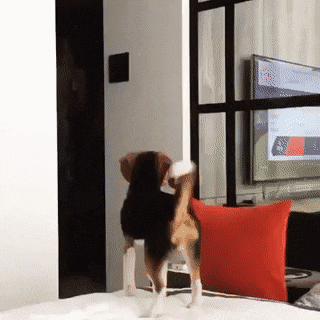 Acid Gifdump, May 26 (25 gifs)
