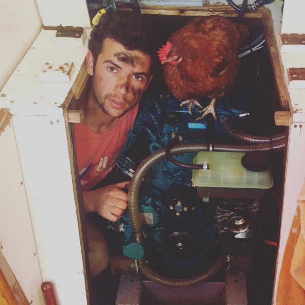 This Guy Travels Around World With His Pet Chicken (21 pics)