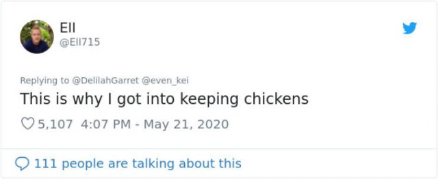 Old Mouse Struggle Tweets (33 pics)