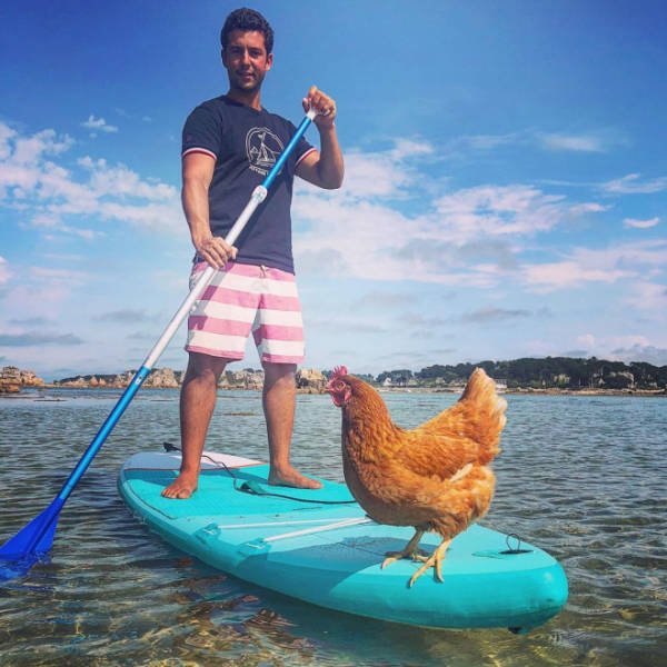 This Guy Travels Around World With His Pet Chicken (21 pics)